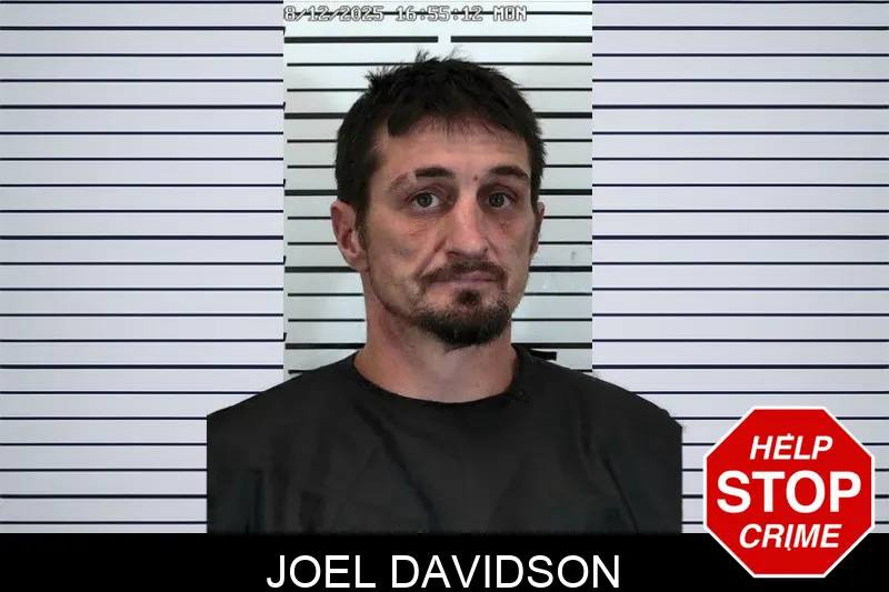 Joel Davidson Mugshots