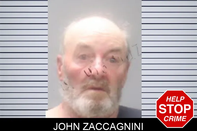 John Zaccagnini Mugshots