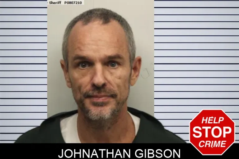 Johnathan Gibson mugshot – Chatham County , Georgia Johnathan Gibson