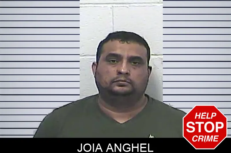 Joia Anghel Mugshots