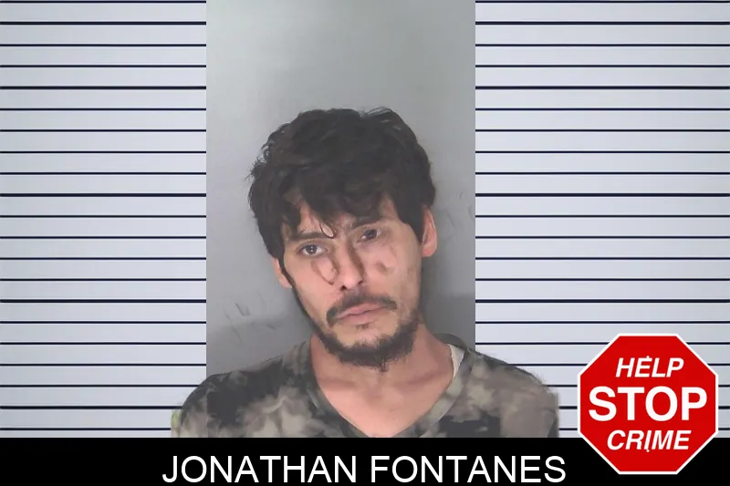 Jonathan Fontanes Mugshots