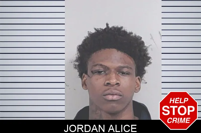 Jordan Alice Mugshots