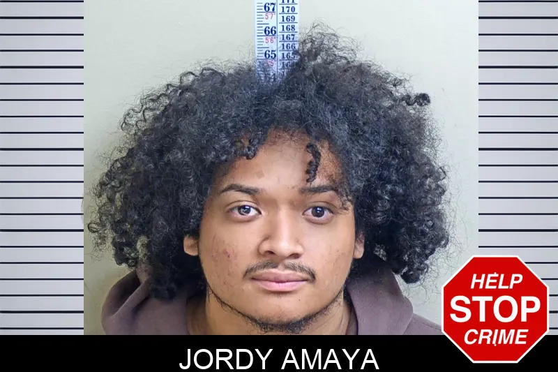 Jordy Amaya mugshot