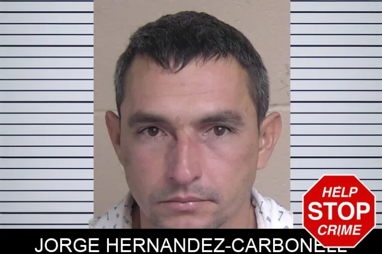 Jorge Hernandez-Carbonell