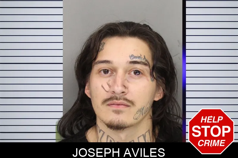 Joseph Aviles Mugshots