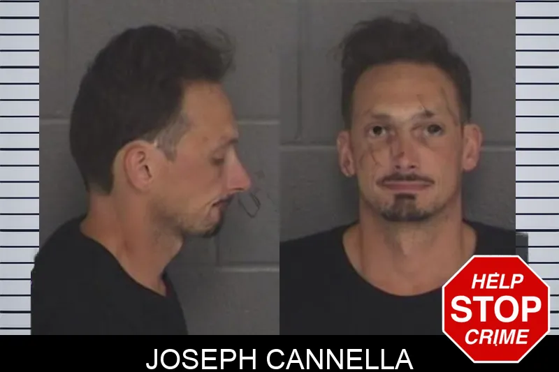 Joseph Cannella Mugshots