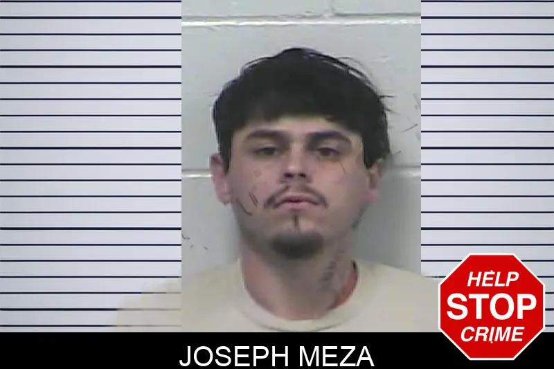 Joseph Meza Mugshots
