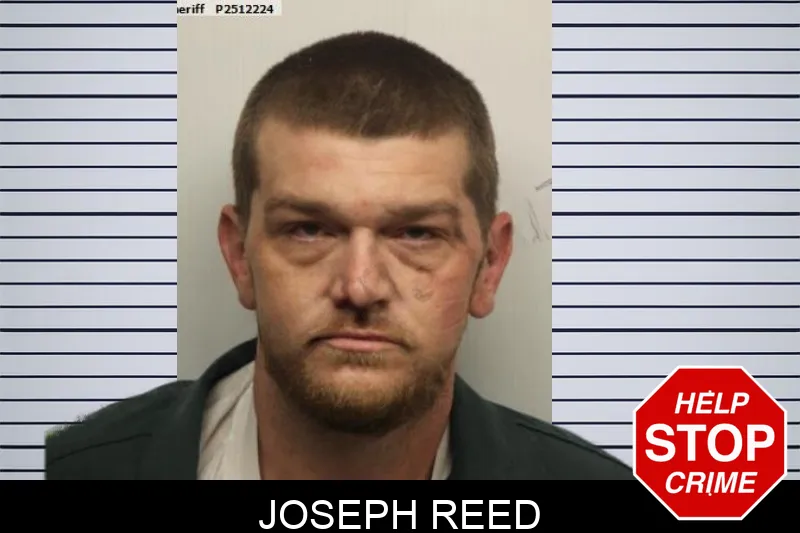 Joseph Reed Mugshots