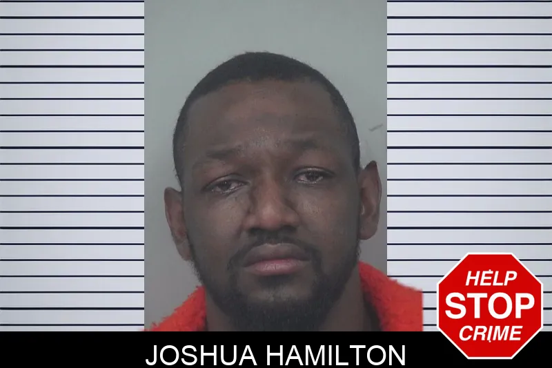 Joshua Hamilton mugshot
