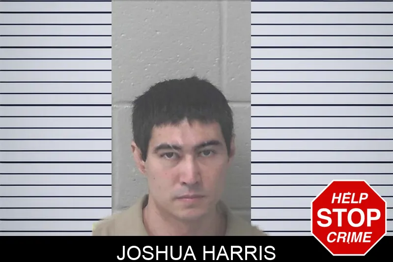Joshua Harris Mugshots