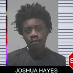 Joshua Hayes Mugshots