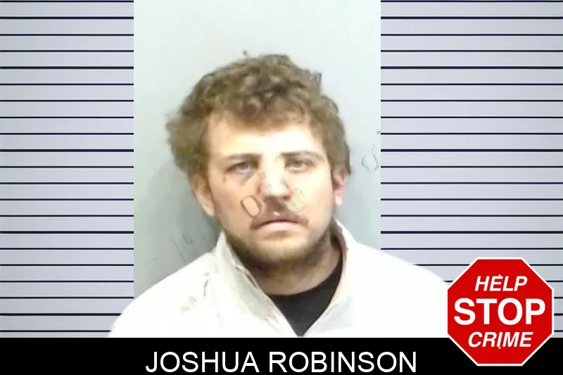 Joshua Robinson mugshot