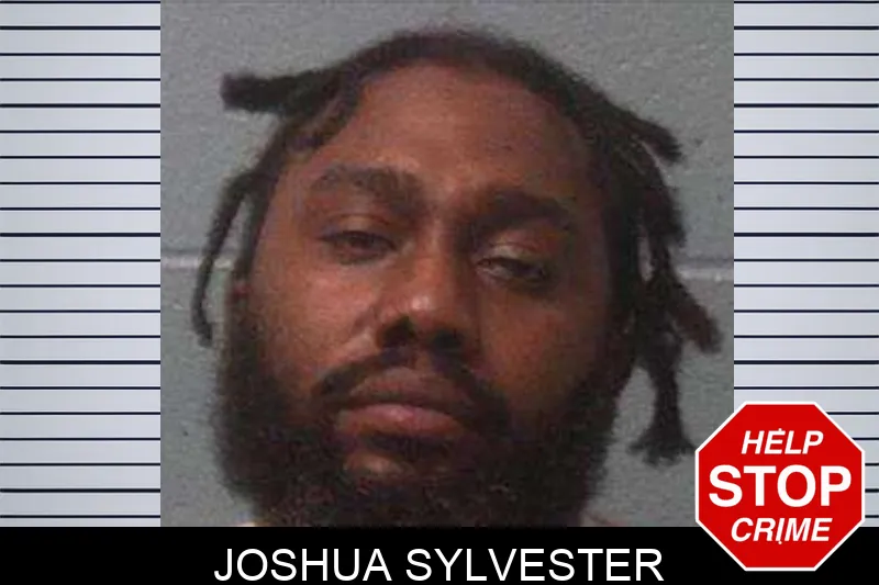 Joshua Sylvester Mugshots