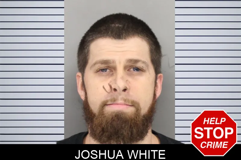 Joshua White Mugshots
