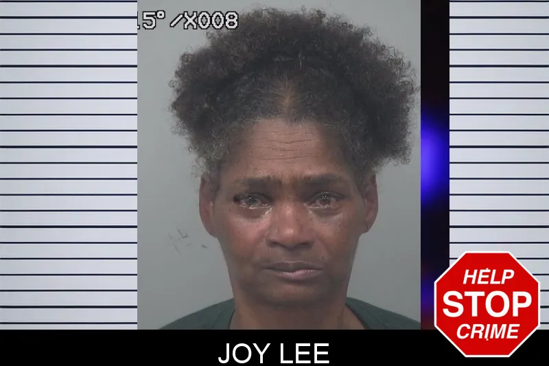 Joy Lee Mugshots
