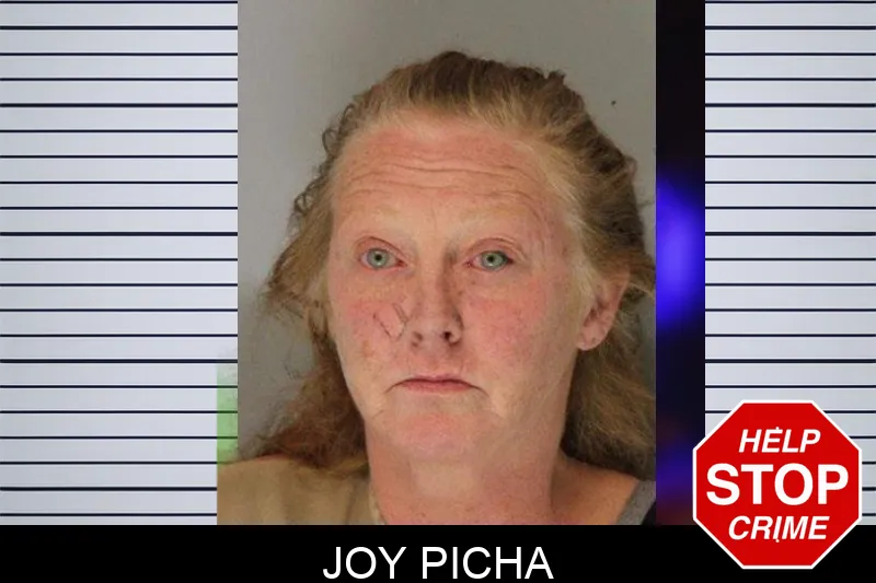 Joy Picha Mugshots