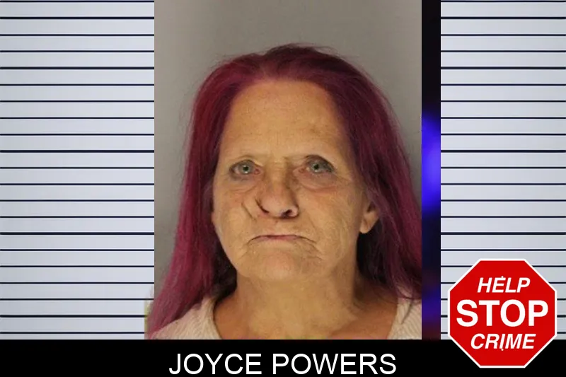 Joyce Powers Mugshots