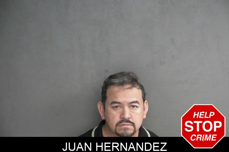 Juan Hernandez Mugshots