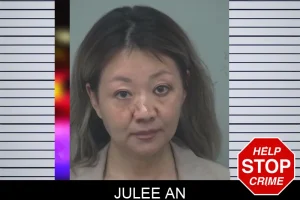 Julee An mugshot