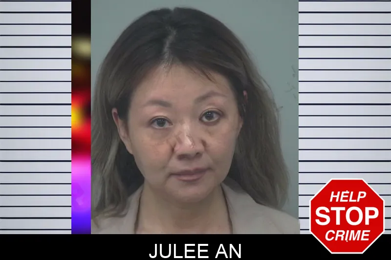 Julee An mugshot