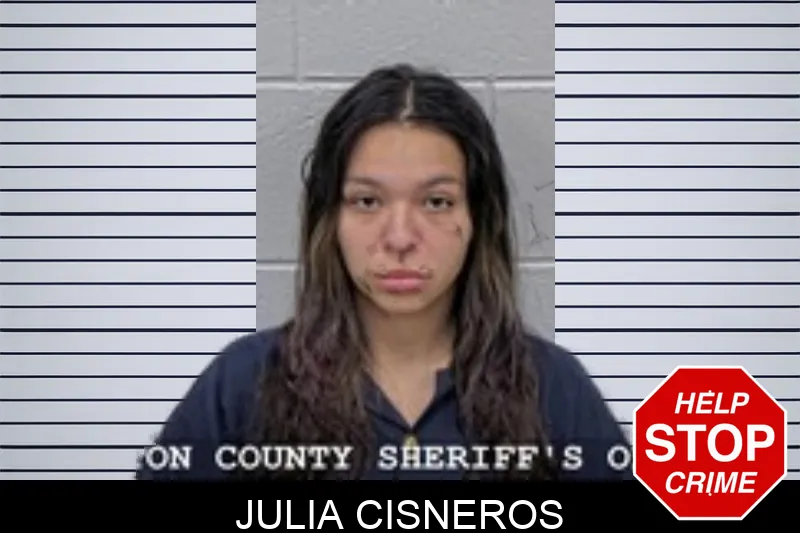 Julia Cisneros Mugshots