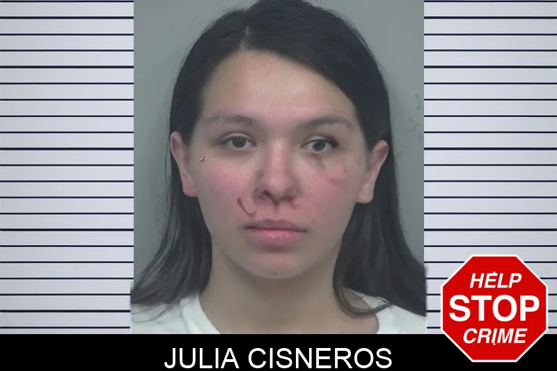 Julia Cisneros Mugshots