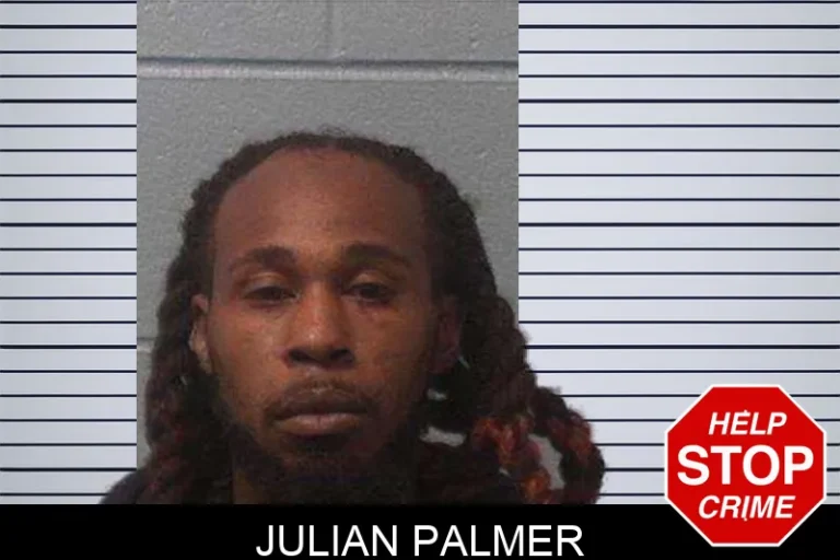 Julian Palmer mugshot – Franklin County , Georgia Julian Palmer