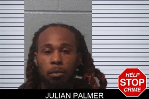 Julian Palmer mugshot