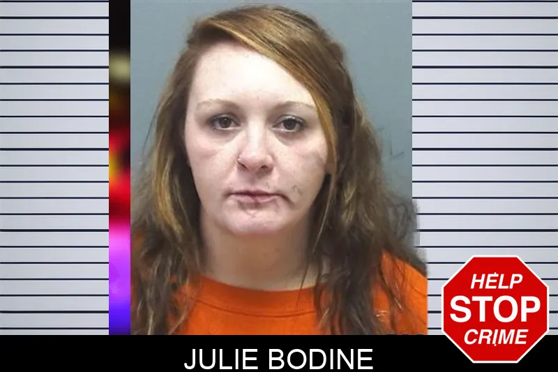 Julie Bodine mugshot