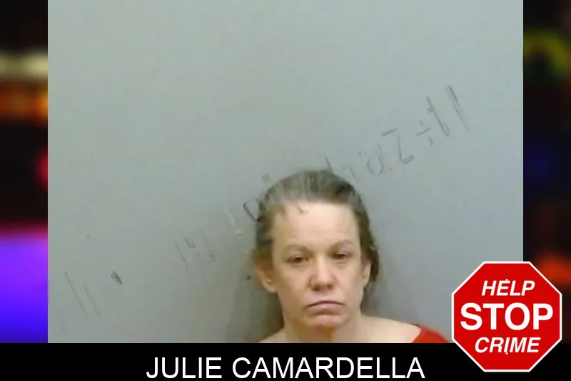 Julie Camardella mugshot