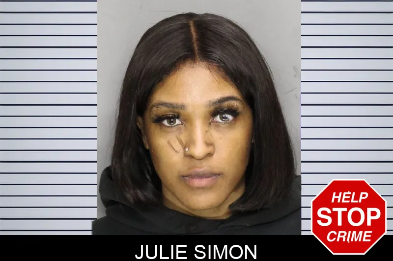 Julie Simon Mugshots