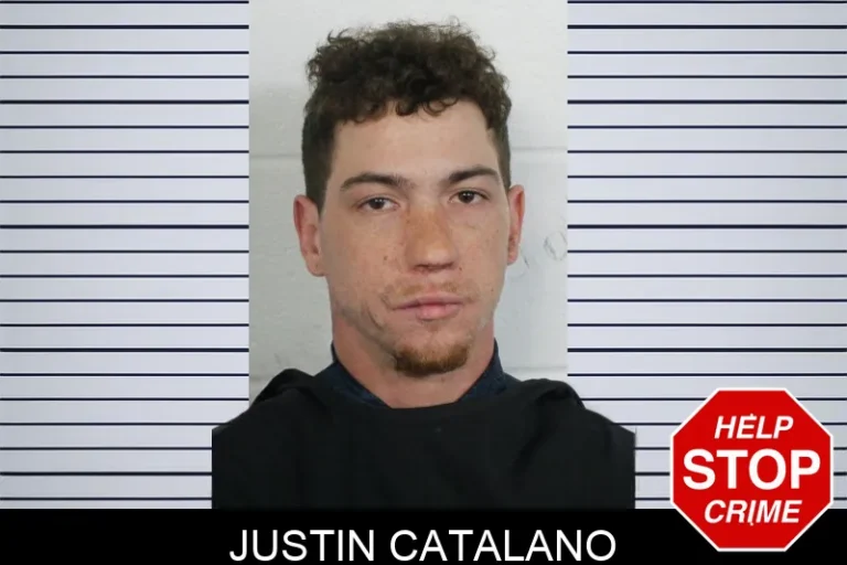 Justin Catalano