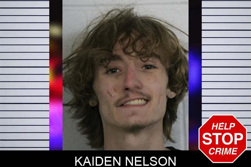 Kaiden Nelson Mugshots
