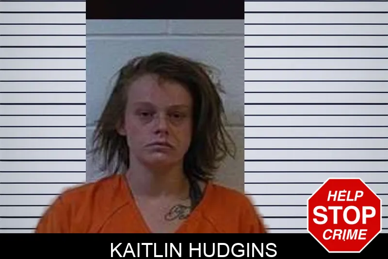 Kaitlin Hudgins Mugshots