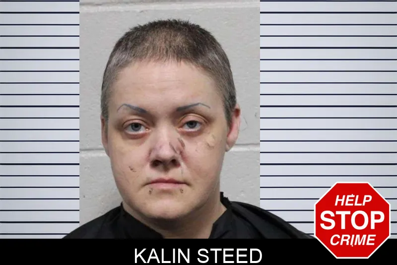 Kalin Steed Mugshots