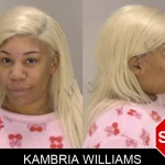 Kambria Williams Mugshots
