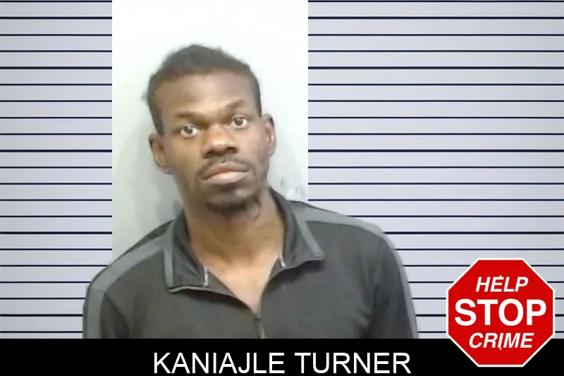 Kaniajle Turner mugshot – Fulton County , Georgia Kaniajle Turner mugshot