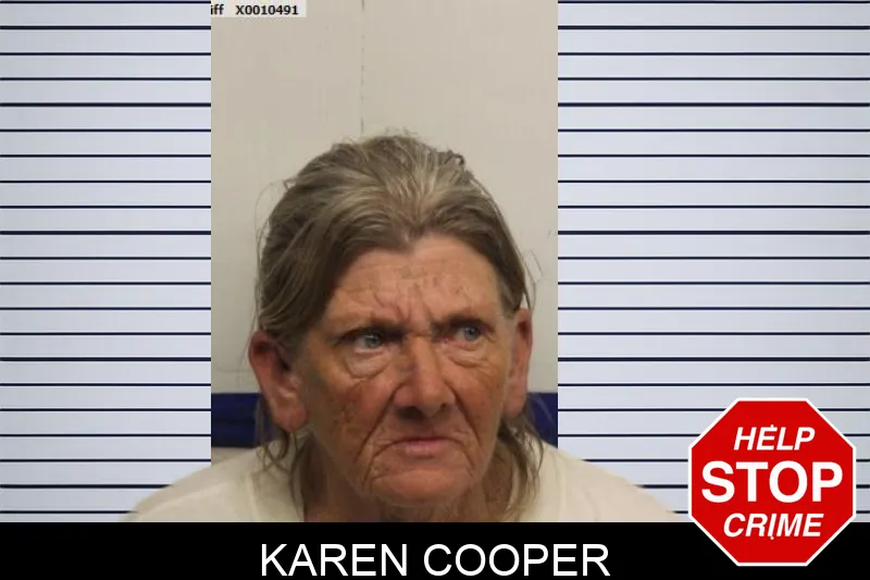Karen Cooper mugshot