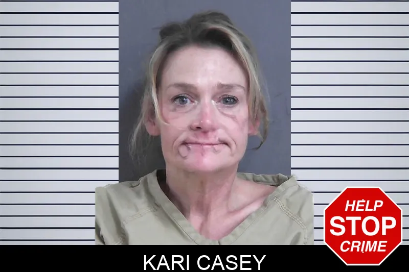 Kari Casey Mugshots