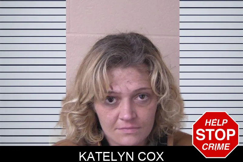 Katelyn Cox Mugshots