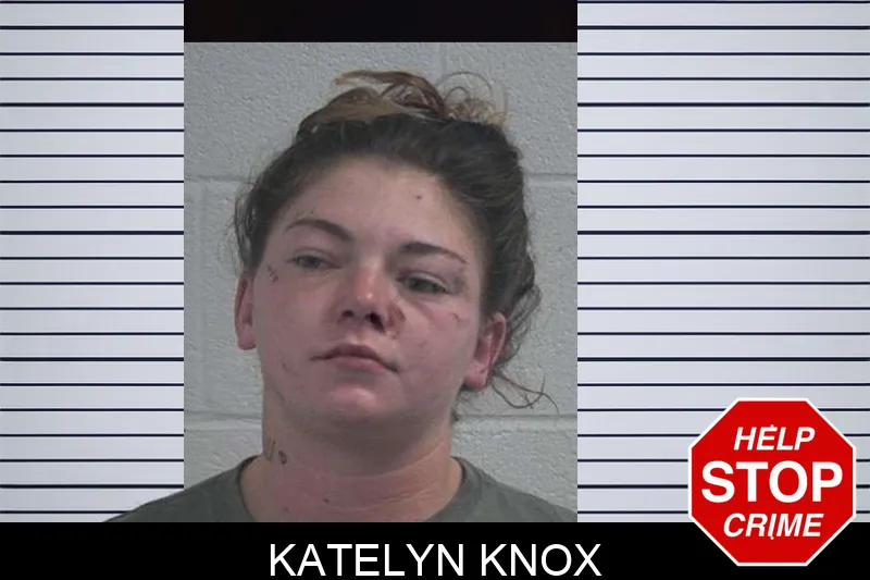 Katelyn Knox Mugshots
