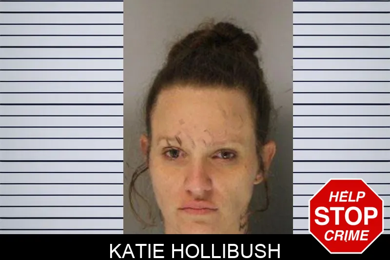 Katie Hollibush Mugshots