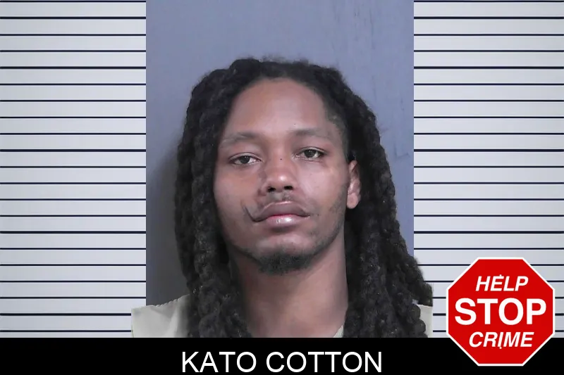 Kato Cotton Mugshots