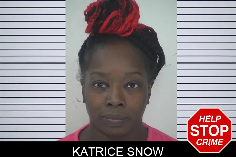 Katrice Snow Mugshots