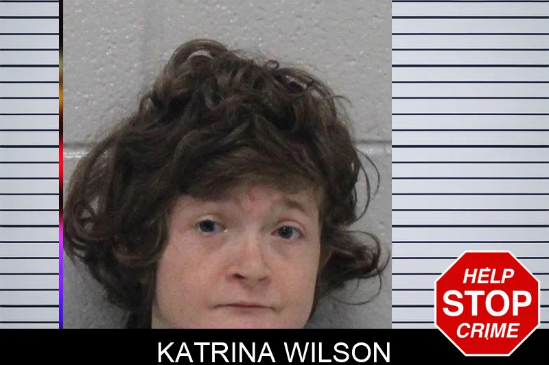 Katrina Wilson Mugshots