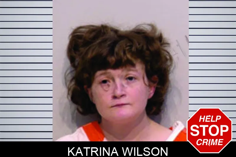 Katrina Wilson Mugshots