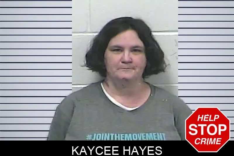Kaycee Hayes Mugshots