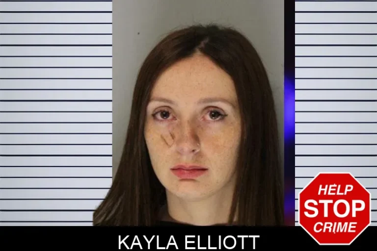 Kayla Elliott mugshot – Hall County , Georgia Kayla Elliott