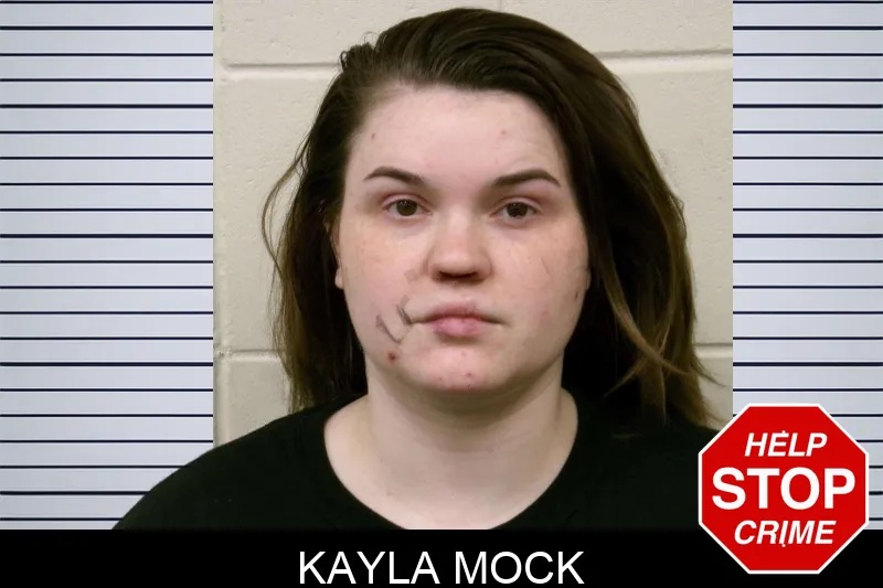 Kayla Mock mugshot – Bulloch County , Georgia Kayla Mock mugshot