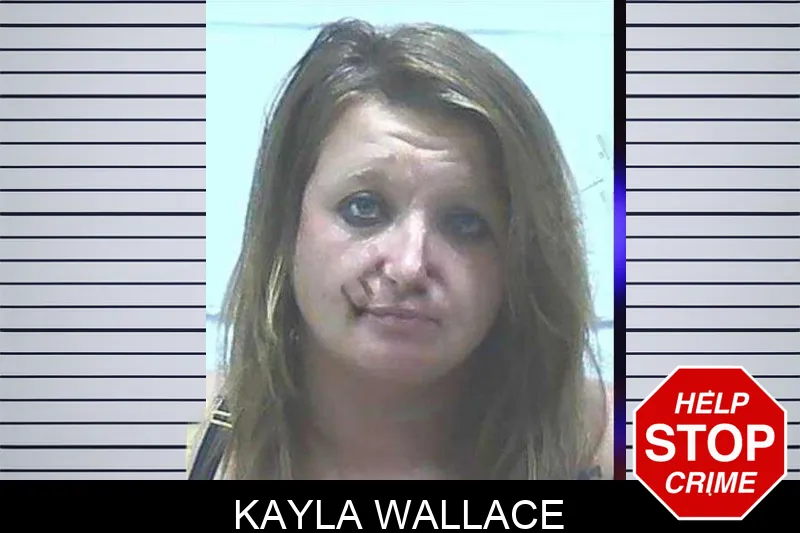 Kayla Wallace Mugshots